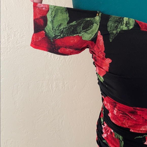 La Rosita Mini Dress - Picture 15 of 15